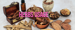 Herbs in Yoga: Enhancing Wellness Through Nature